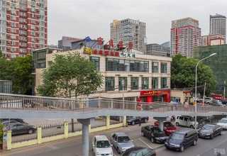 陕西专业恒温气垫车运输专业公司